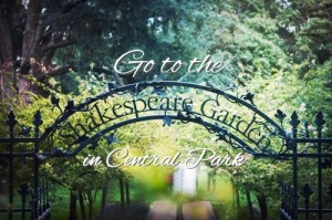 Go to the Shakespeare Garden in Central Park