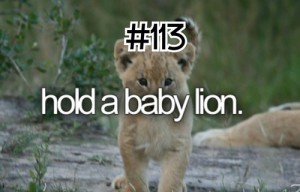hold a baby lion