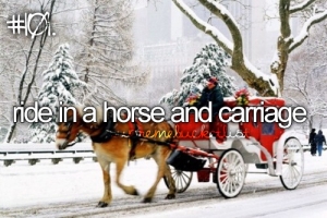 ride in a horse and carriage