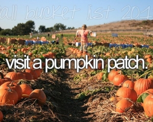 visit a pumpkin patch